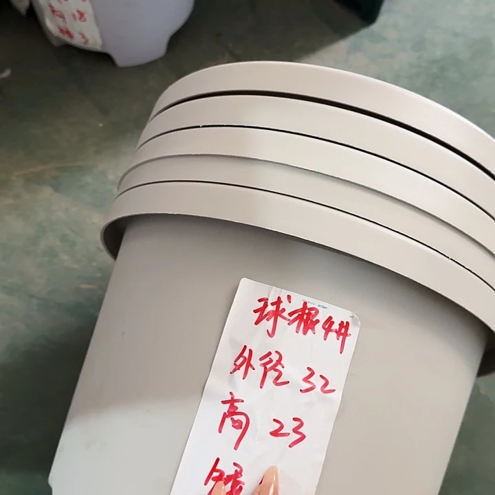 球根32口径5个灰白