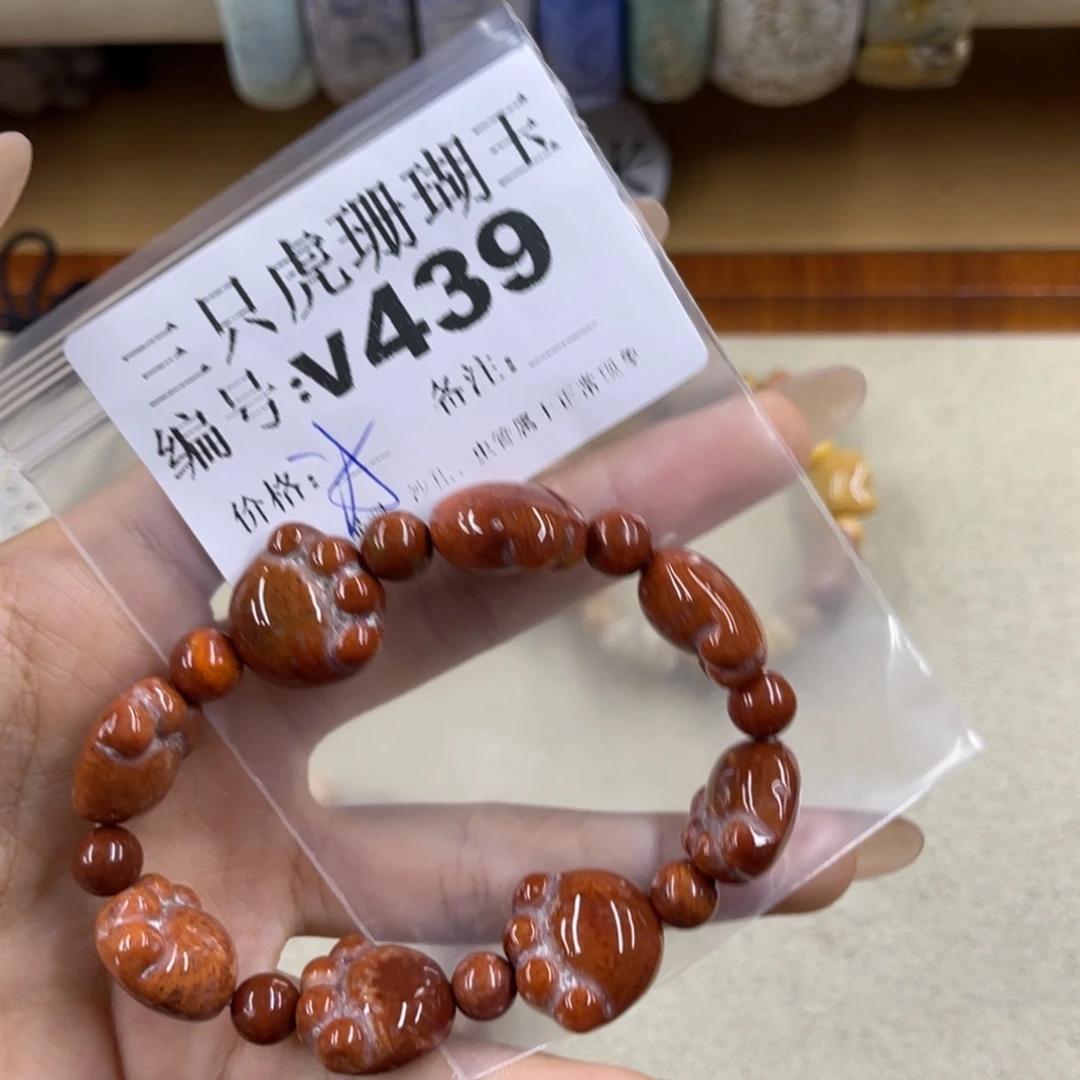 *****硅化珊瑚（珊瑚玉）未镶嵌h