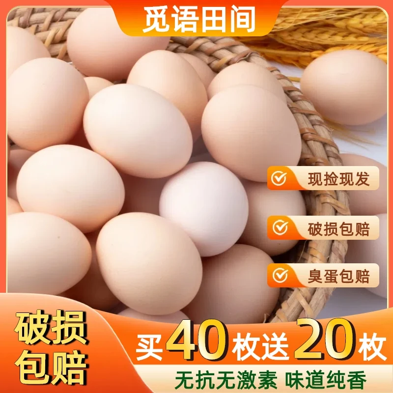 【买40枚送20枚】农家散养土鸡蛋新鲜草鸡蛋 每日甄选45±5克/枚