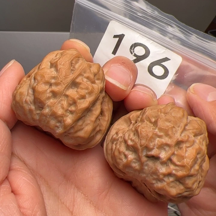 核桃三角蛙40边42肚196