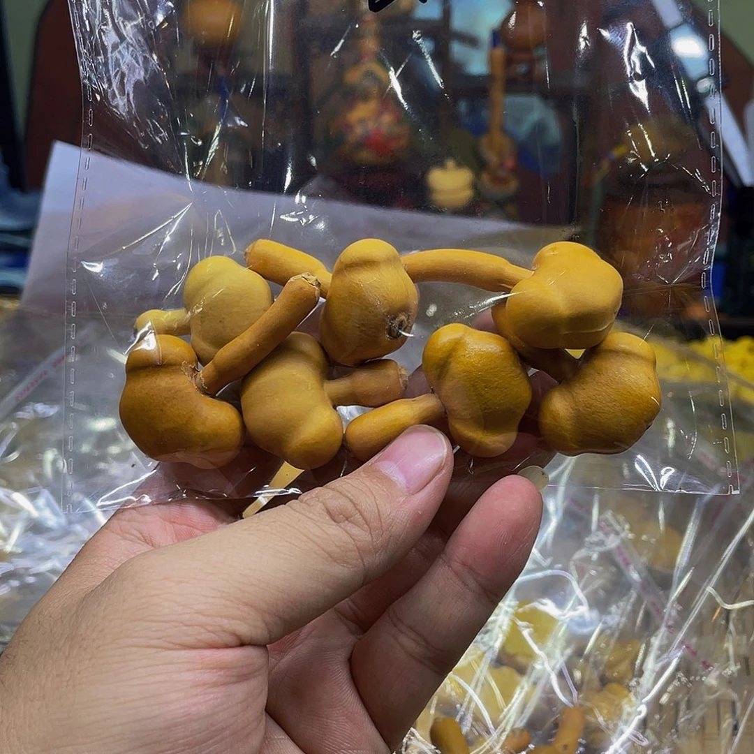 小***星有机玻璃葫芦制品