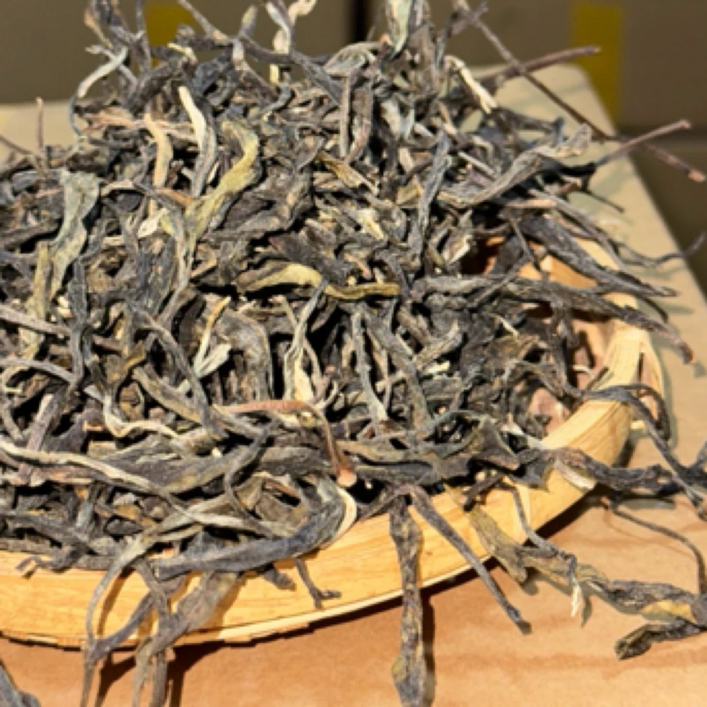 茶王树 散料 2024年头春 古树茶