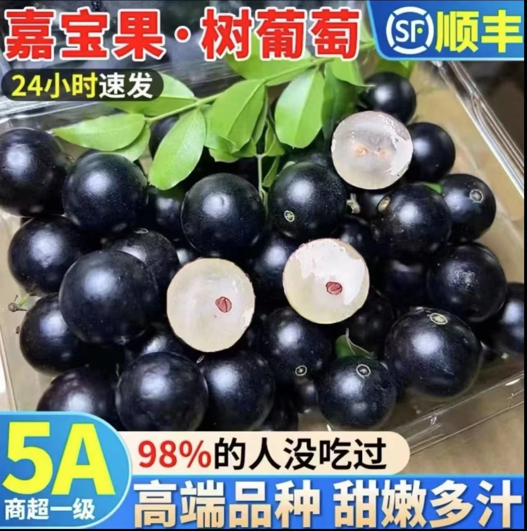 【顺丰送上门】当季新鲜嘉宝果树葡萄稀有水果酸甜多汁孕妇适用现摘