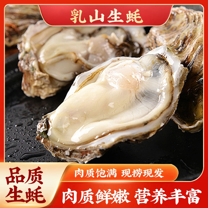 【乳山生蚝】品质生蚝5斤送5斤,冷链包邮
