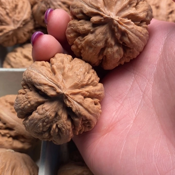 ￥***￥霸王龙全品无修一刀没动