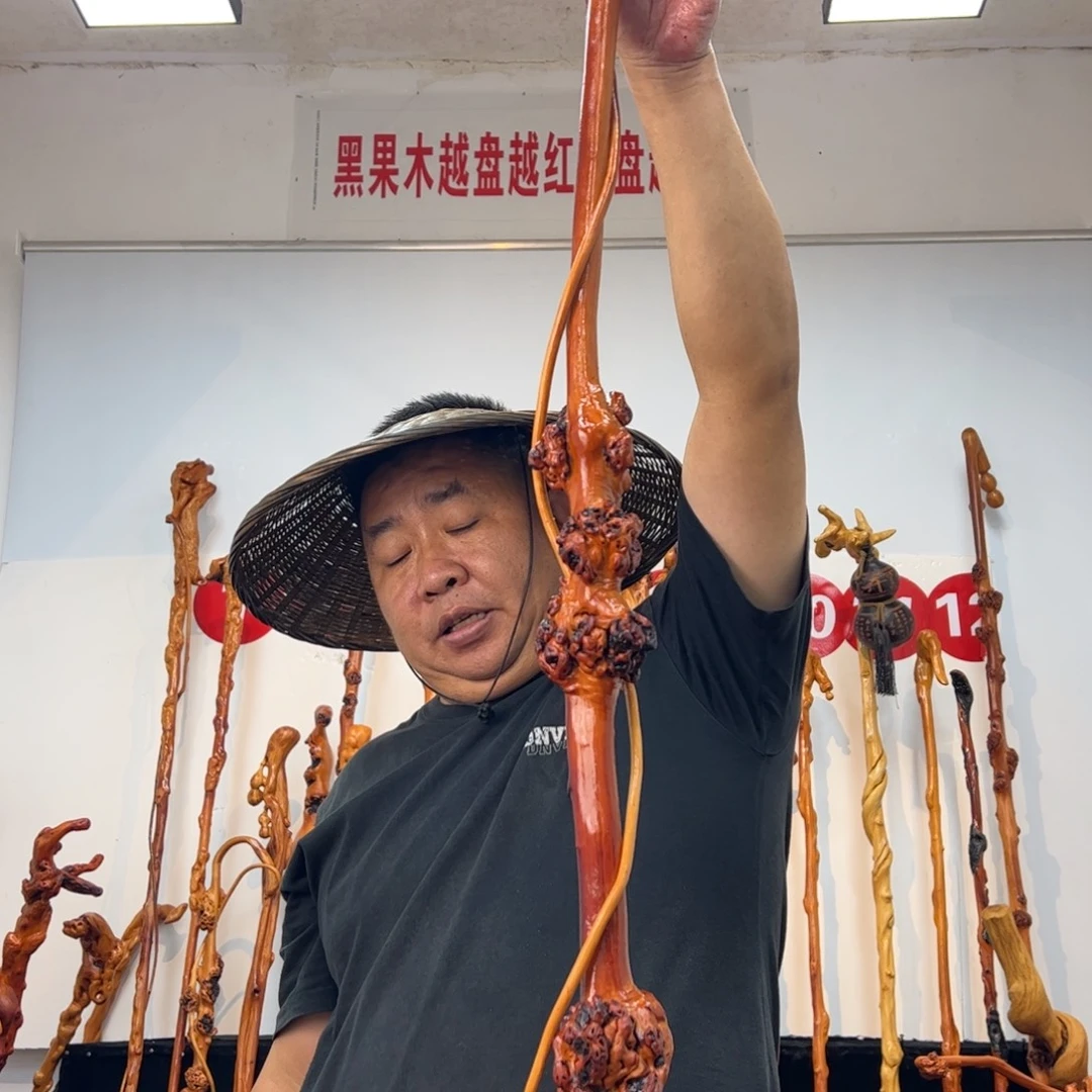 待***宾其他黑果木黑果木467