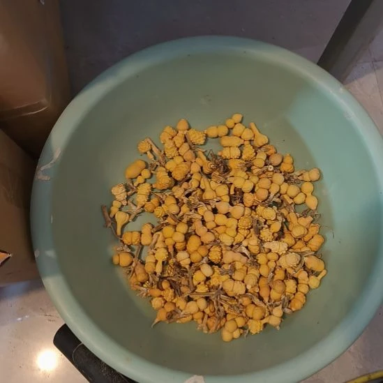木草里金菠萝包189个