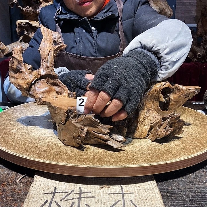 倾***。214。株木随行根艺