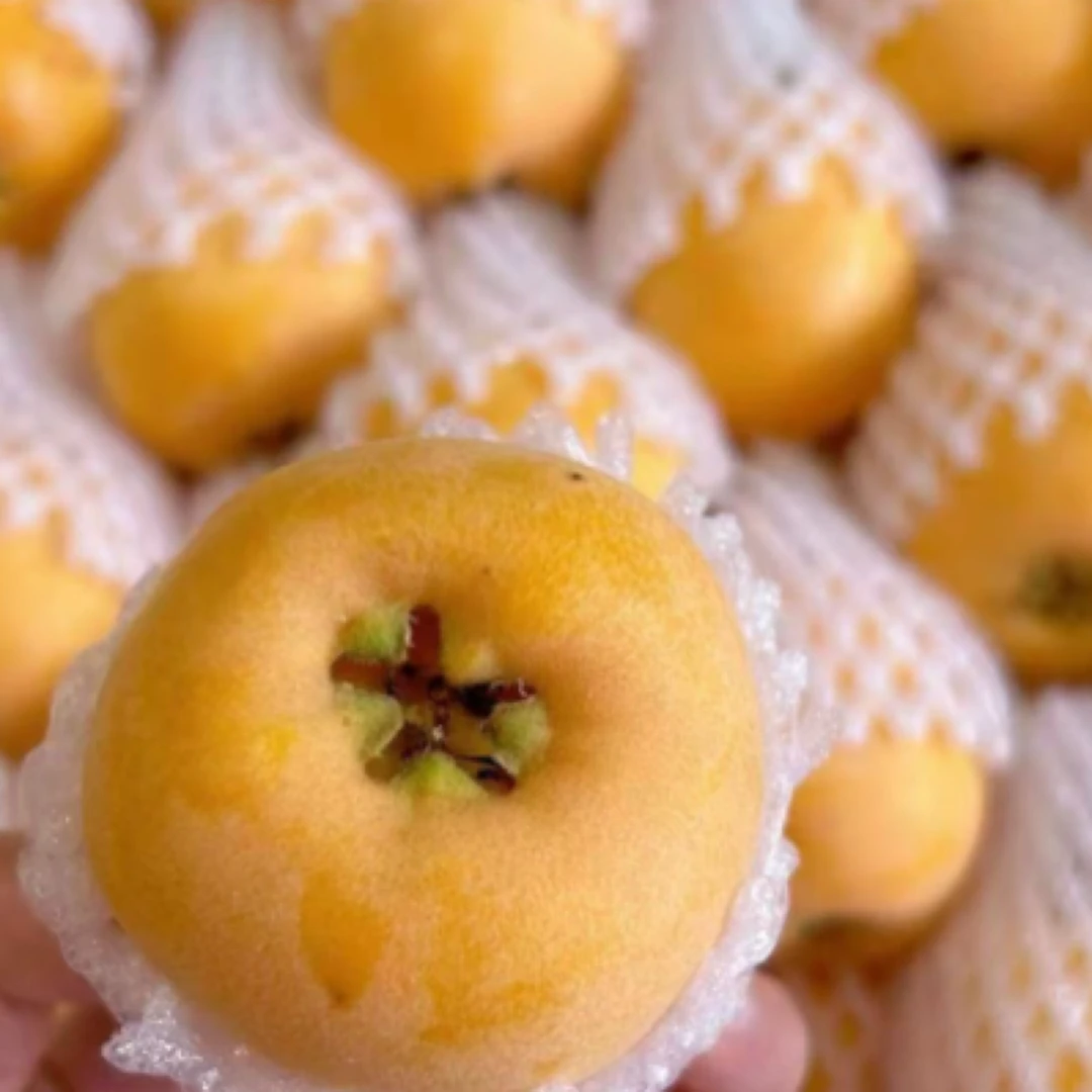 野生冰糖枇杷一箱3