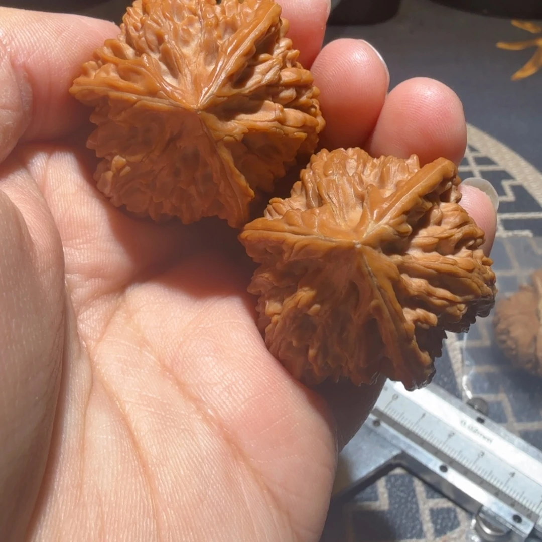 文玩核桃把件御龙正奔