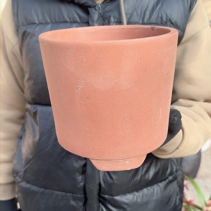 红陶紫砂口径16高度16