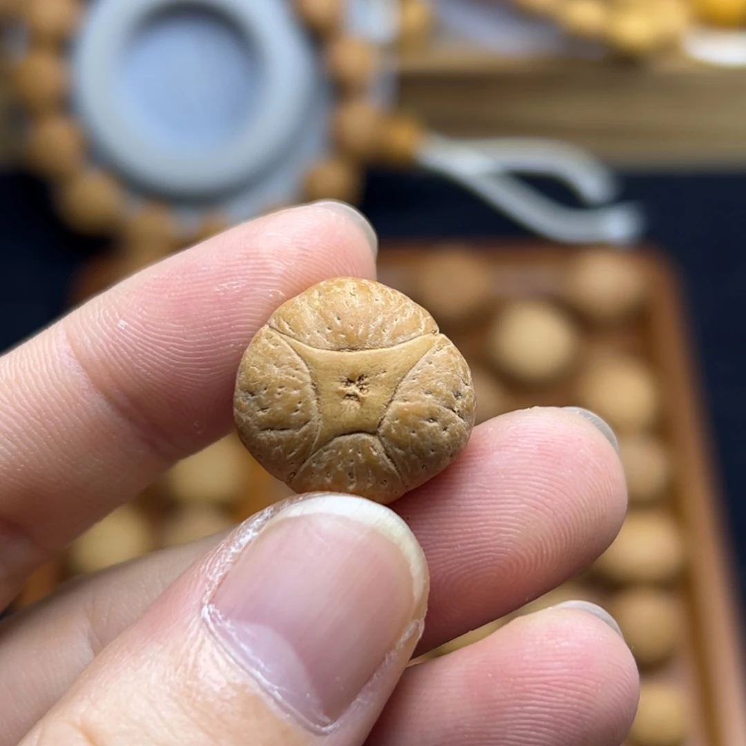 手串凤眼菩提20+麒麟眼