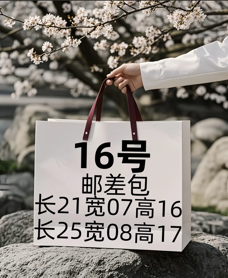 【16号】XY2025爆款单肩斜挎邮差包A6518-2