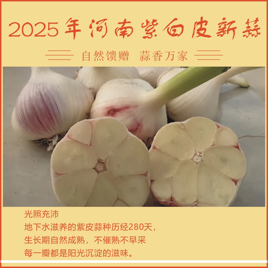 （5斤）2025年河南紫白皮新鲜大蒜头湿蒜头