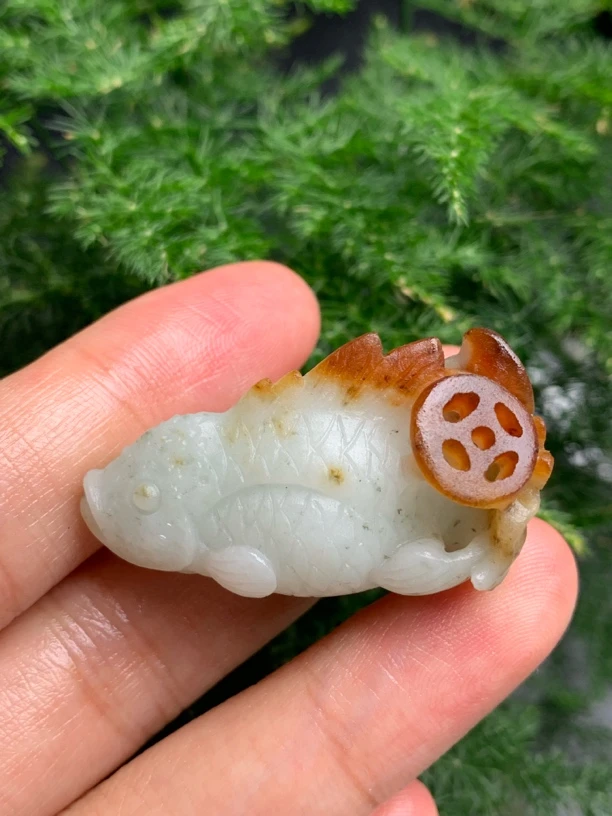 天然缅甸翡翠毛货俏红翡鱼