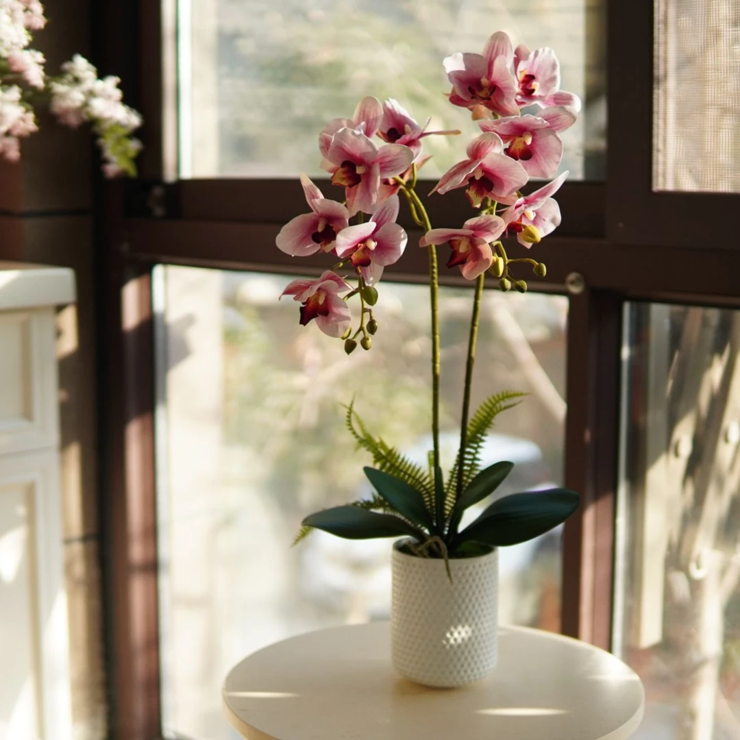 花妍仿真蝴蝶兰手绘花盆栽手感花茶几鞋柜玄关家居摆件假花装饰花