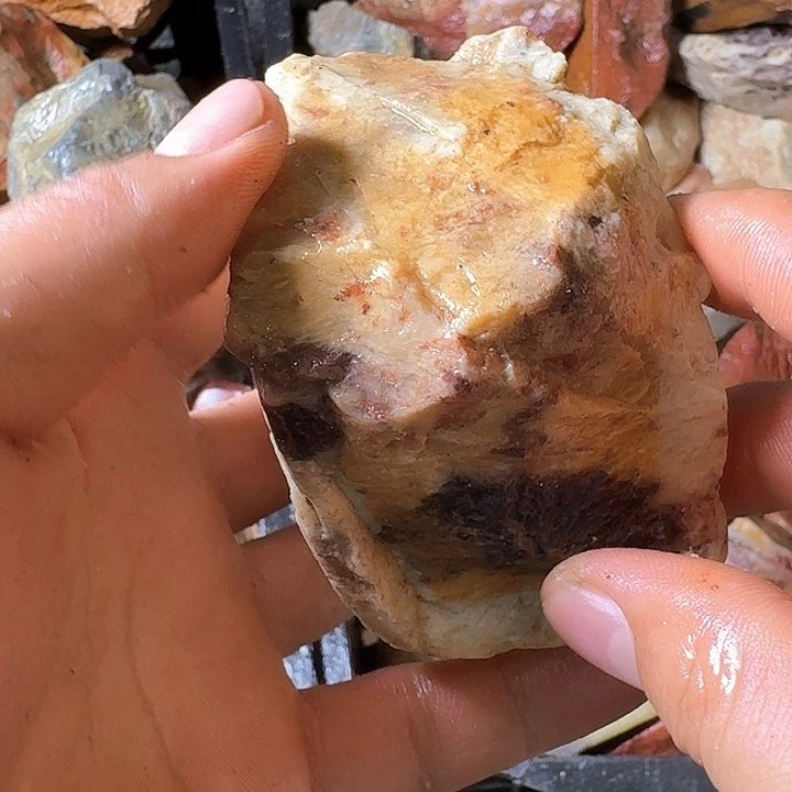 白***树寿山石寿山石的种类