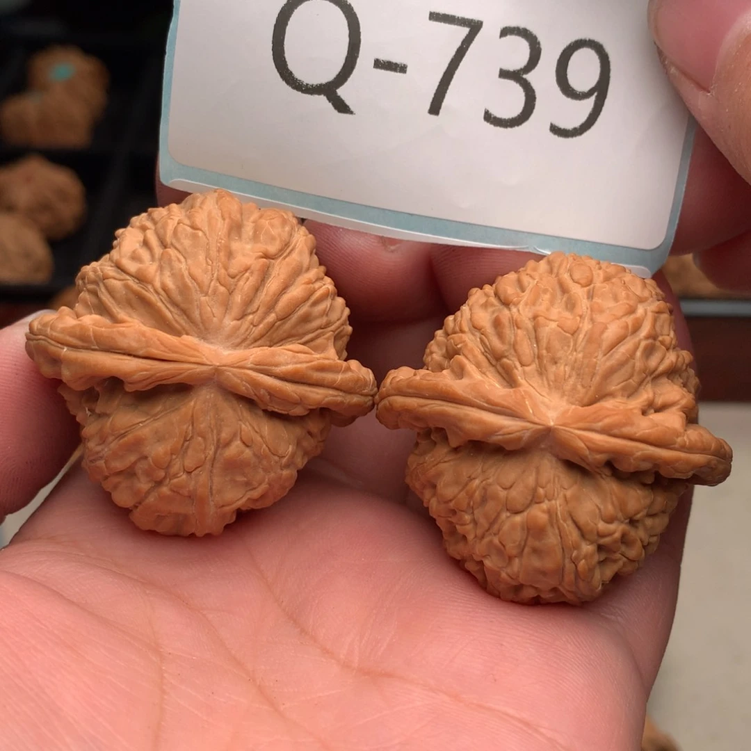 文玩核桃把件41球白……