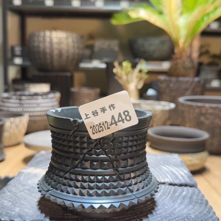 内口865高8.5块根素黑
