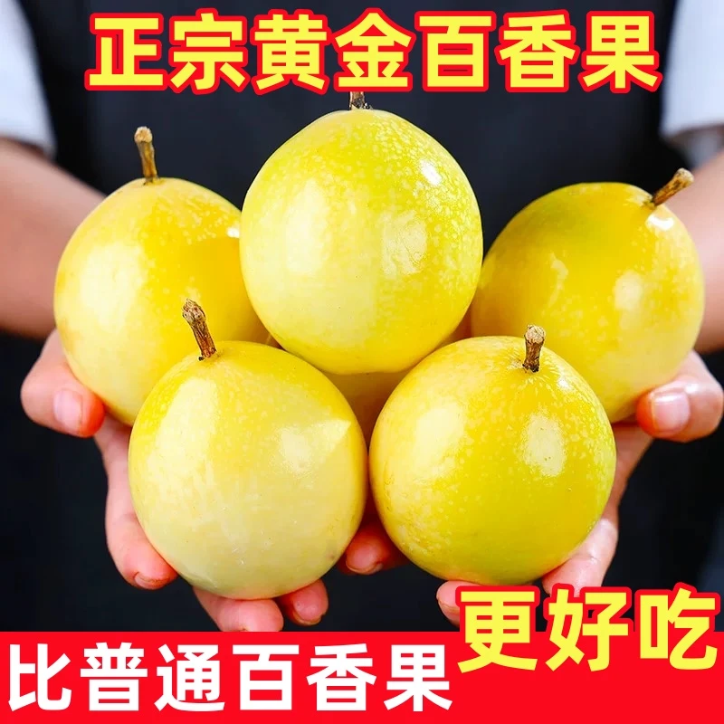 【整箱装】正宗云南钦蜜9号黄金百香果当季水果热卖新鲜百香果直播