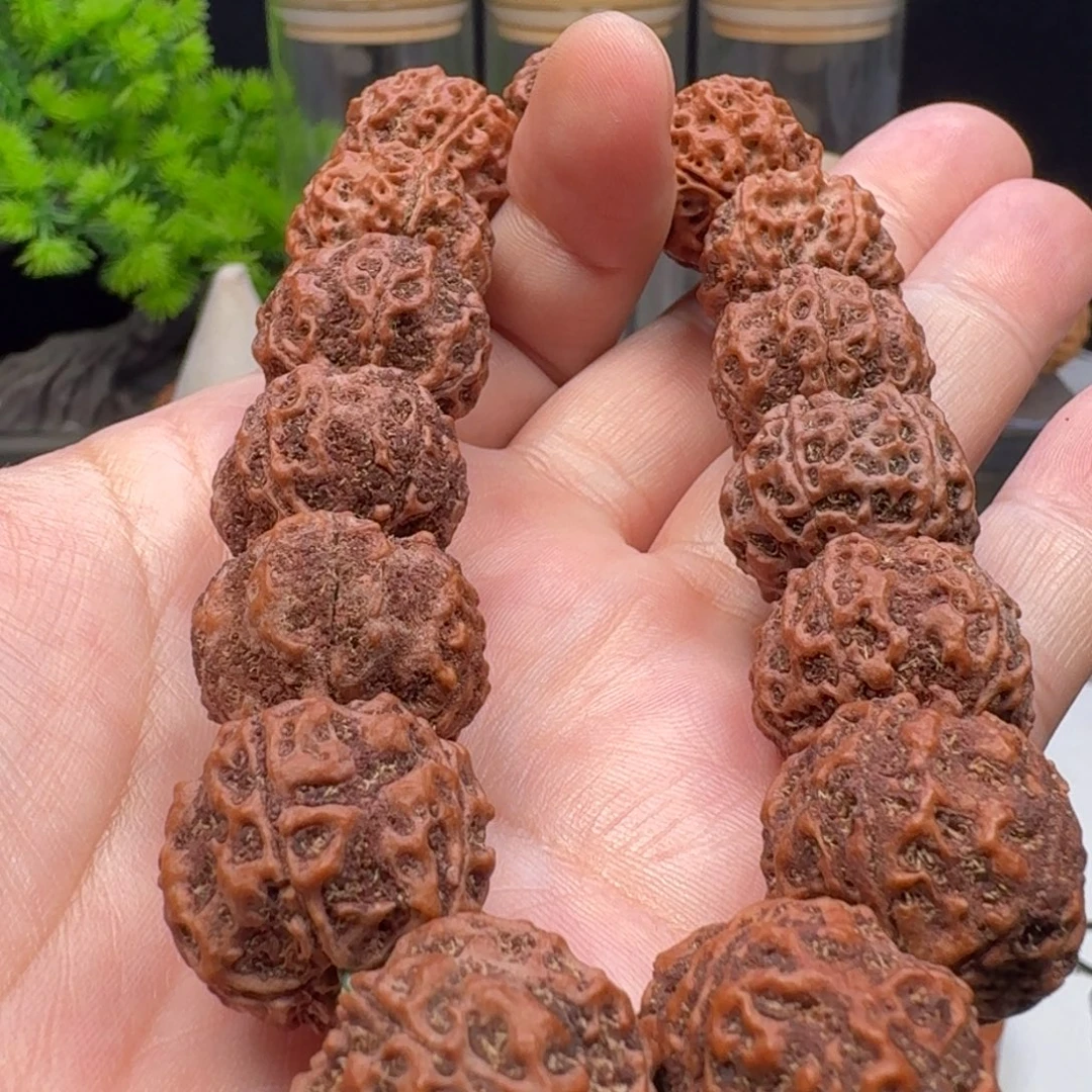 手串金刚菩提蜂窝双龙老籽