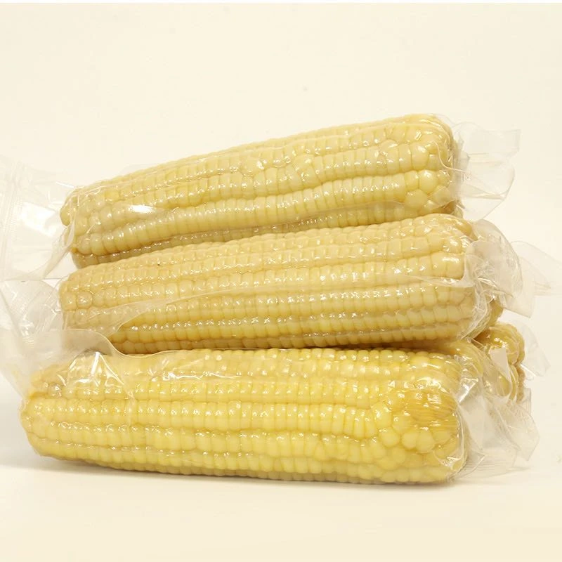 塔城白糯玉米8根装包邮到家