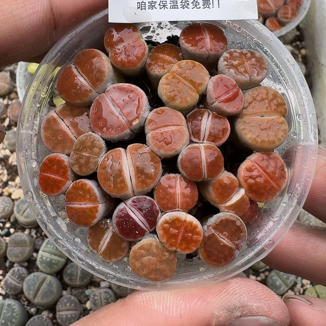 106满18 包邮保温袋联系客服