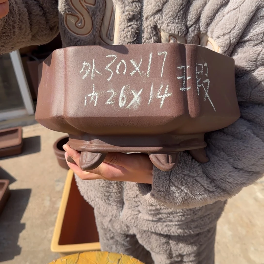紫砂花盆呜呜呜呜