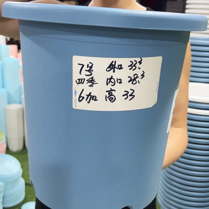 特价7号口33高33白色无托6支