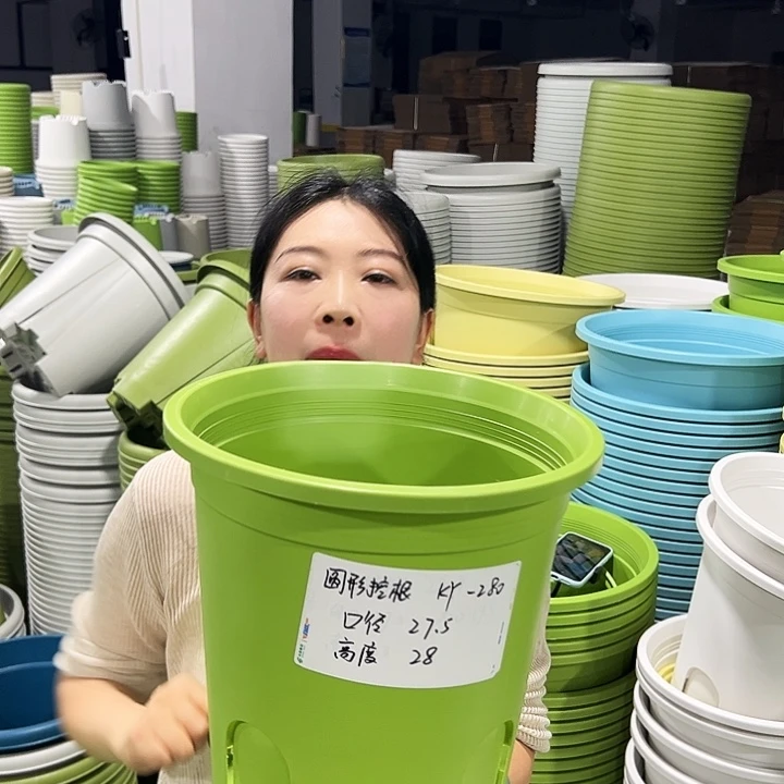 正品圆控口27.5高27.5白色5只无托