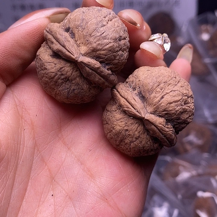 核桃云南野生铁核桃50号35mm