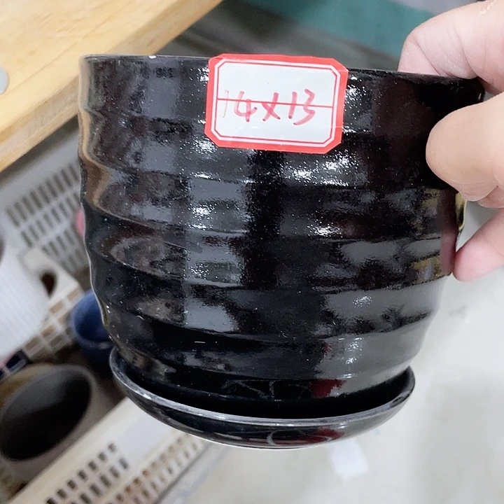 花盆花盆花盆花盆花盆花盆花盆