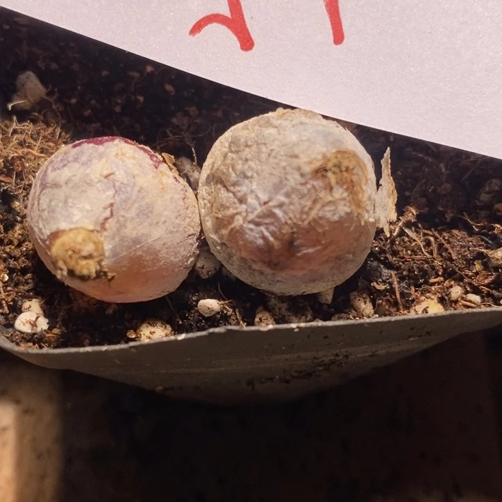 25236一组一组一组