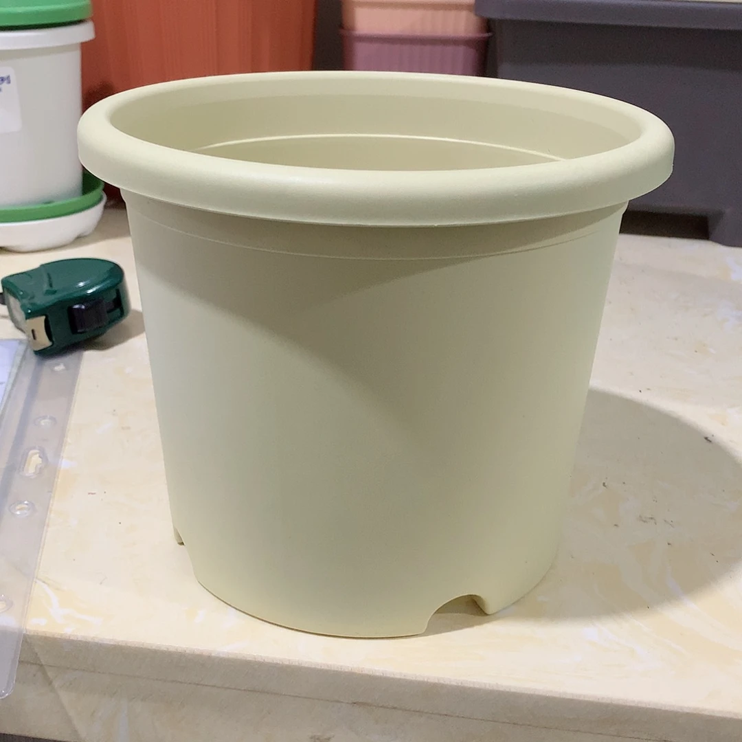 树脂四季口21米黄3个无托