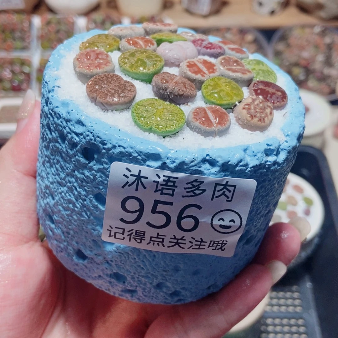 一物一拍 所见即所得956