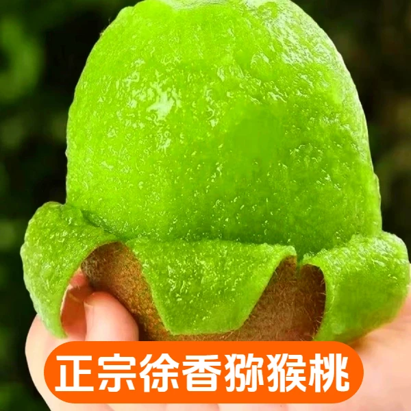 陕西眉县徐香猕猴桃应季新鲜水果香甜多汁软糯可口绿心奇异果周至