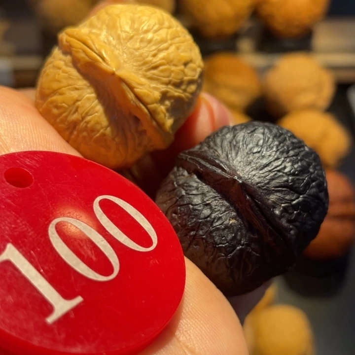 太极阴阳球核桃尺寸35