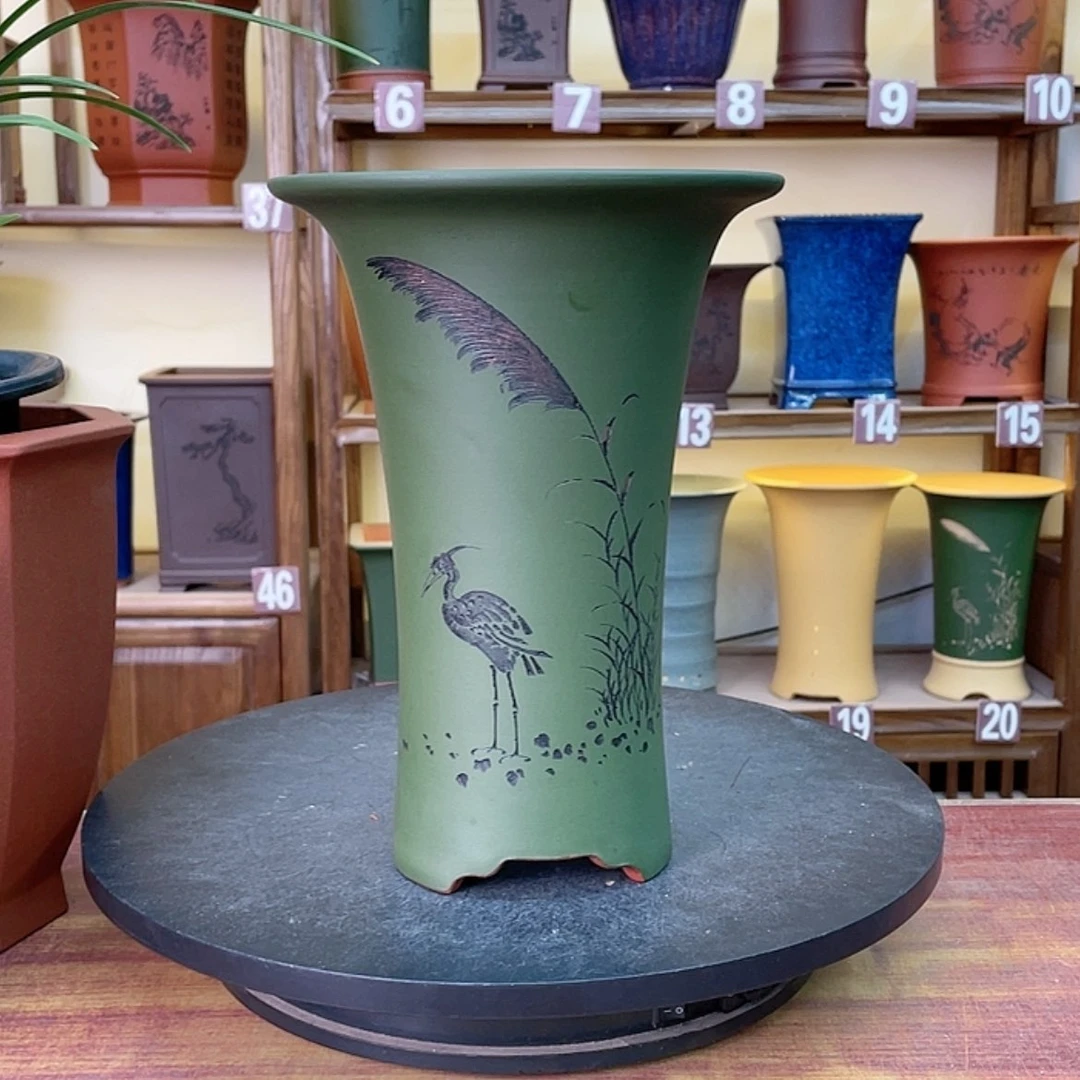 【闪购商品】紫砂花盆大*王兰花455558445558842266