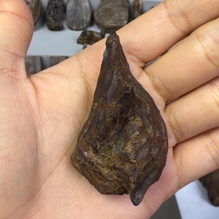 伟业香堂越南沉水10.9克