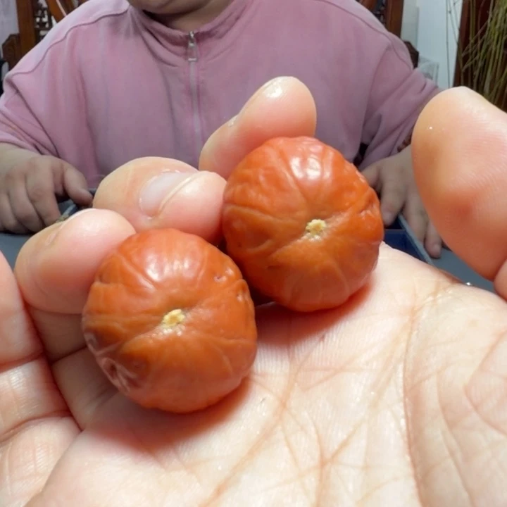 文玩核桃把件玛瑙红6771
