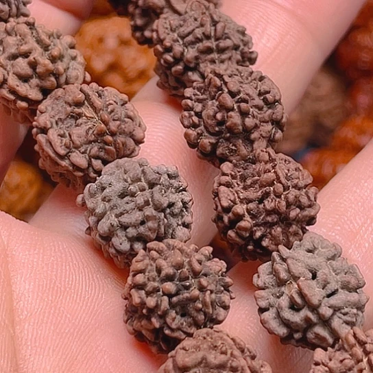 双***。手串金刚菩提Y181/14/5
