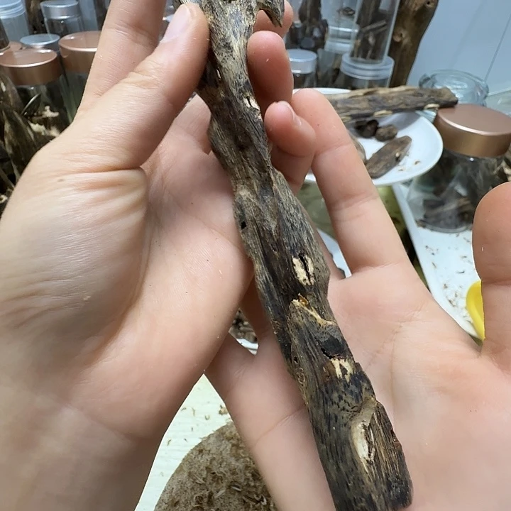 香料奇楠红骨凹身漏油27.8克