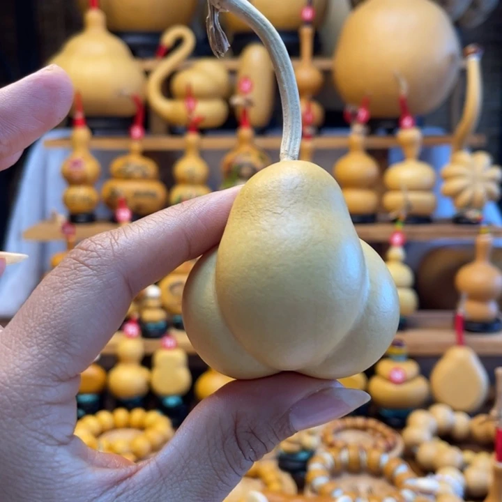 菖*天然葫芦自然生长