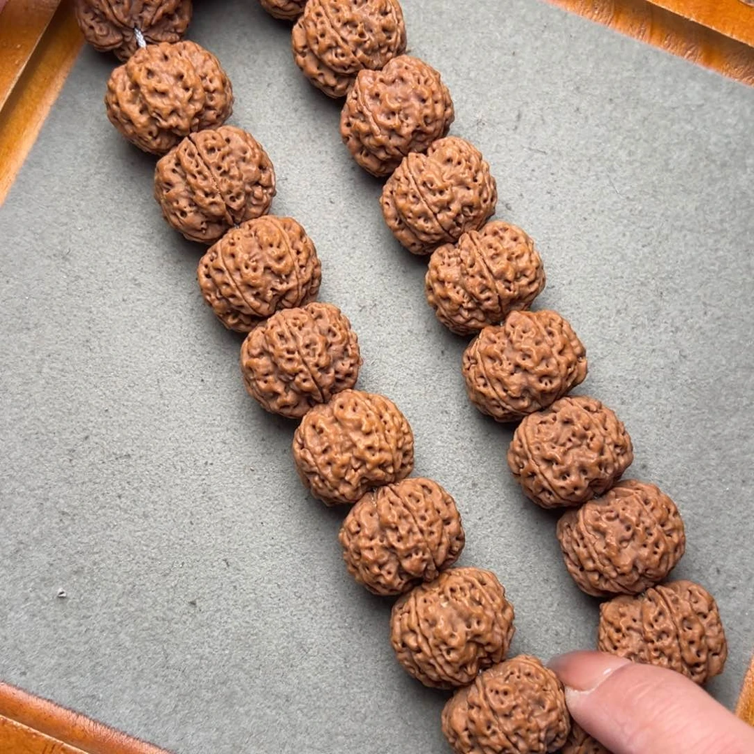 菩提29号金刚菩提梅花五面龙梁23手持