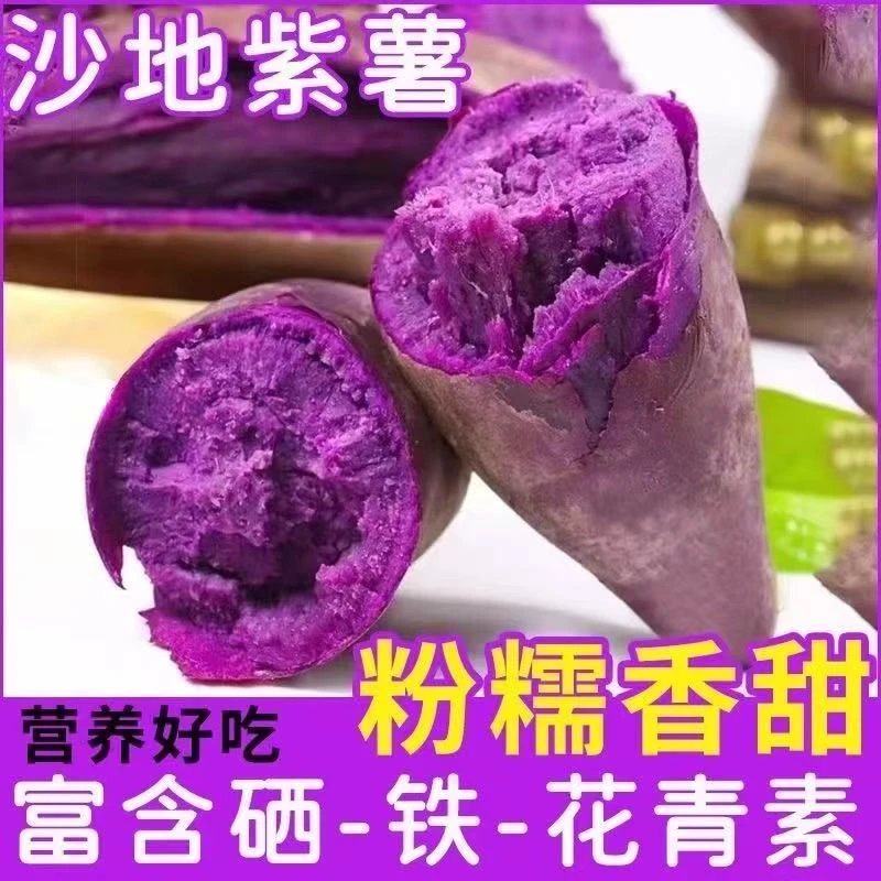 【坏果包赔】新鲜现挖紫罗兰紫薯红薯粉糯香甜4.5斤