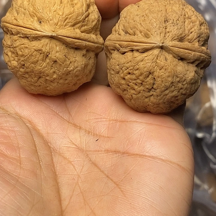 文玩核桃把件云南铁核桃13