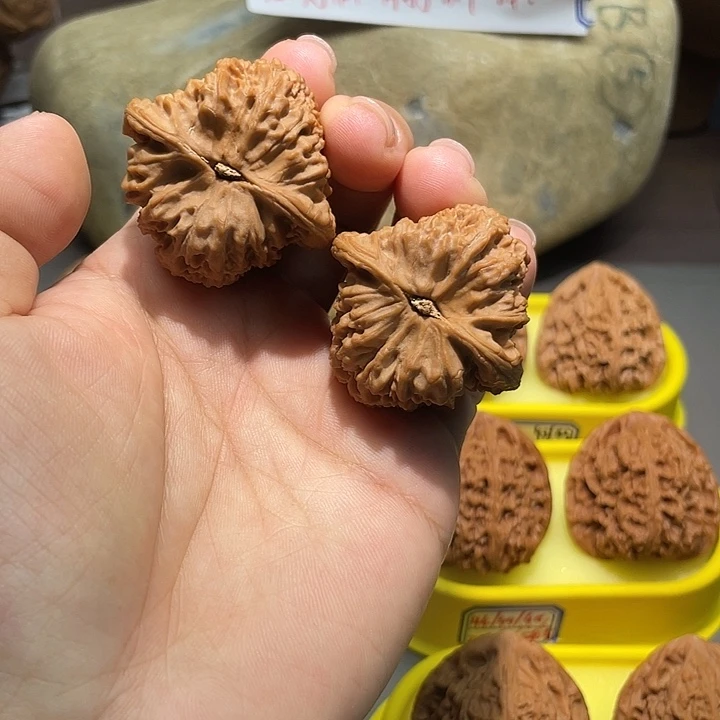 把件文玩核桃1号，40尺全品三角疆