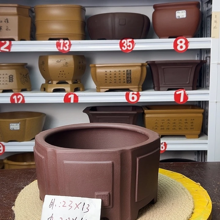 花盆紫砂你在一起