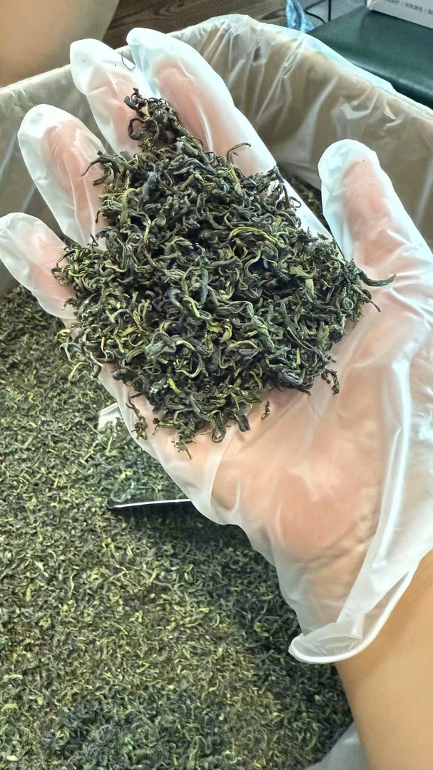 〖古旨〗    85日照绿