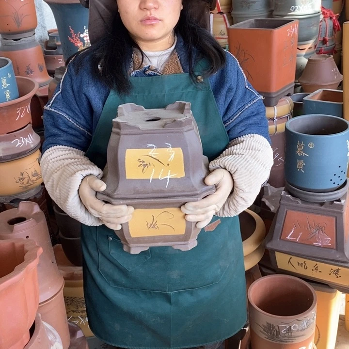 紫砂花盆紫砂花盆盆栽花卉